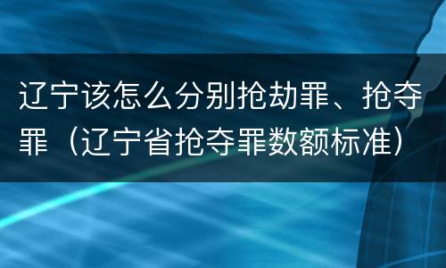 辽宁该怎么分别抢劫罪、抢夺罪（辽宁省抢夺罪数额标准）