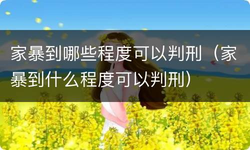 家暴到哪些程度可以判刑（家暴到什么程度可以判刑）