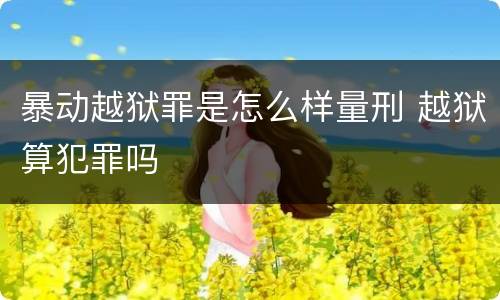 暴动越狱罪是怎么样量刑 越狱算犯罪吗