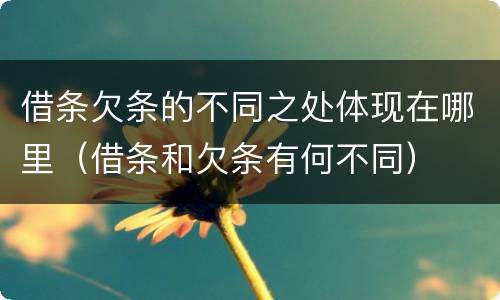 借条欠条的不同之处体现在哪里（借条和欠条有何不同）