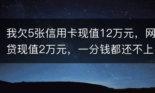 我欠5张信用卡现值12万元，网贷现值2万元，一分钱都还不上了，会判多少年