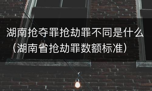 湖南抢夺罪抢劫罪不同是什么（湖南省抢劫罪数额标准）