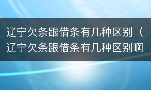 辽宁欠条跟借条有几种区别（辽宁欠条跟借条有几种区别啊）