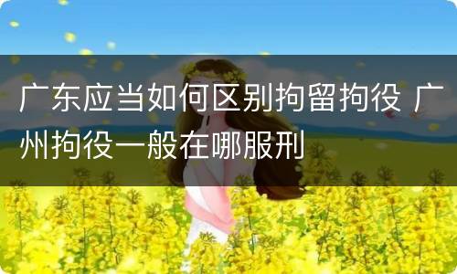 广东应当如何区别拘留拘役 广州拘役一般在哪服刑
