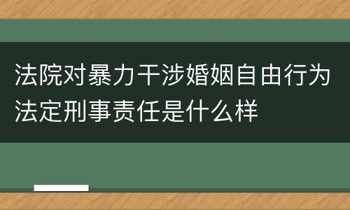 法院对暴力干涉婚姻自由行为法定刑事责任是什么样
