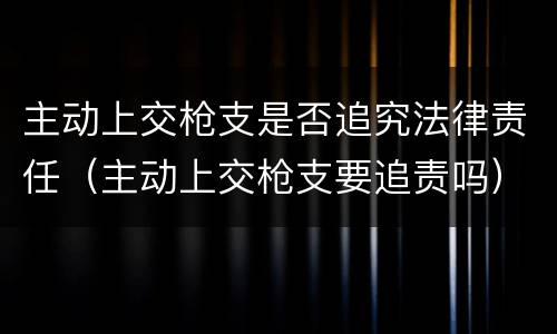 主动上交枪支是否追究法律责任（主动上交枪支要追责吗）