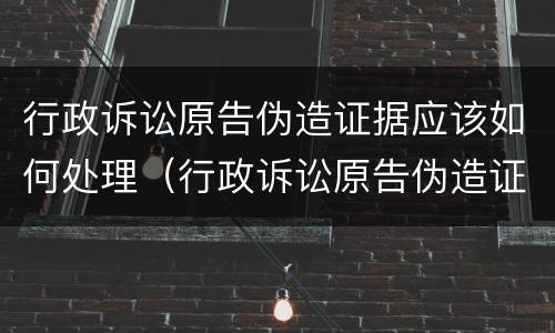 行政诉讼原告伪造证据应该如何处理（行政诉讼原告伪造证据应该如何处理案件）