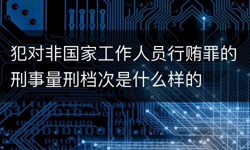 犯对非国家工作人员行贿罪的刑事量刑档次是什么样的