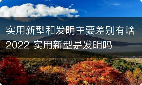 实用新型和发明主要差别有啥2022 实用新型是发明吗