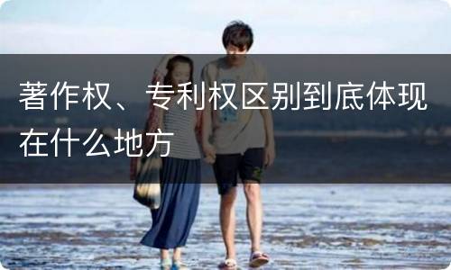 著作权、专利权区别到底体现在什么地方