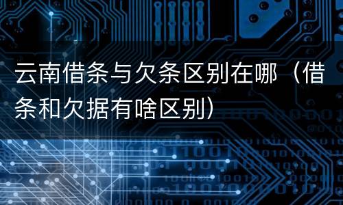 云南借条与欠条区别在哪（借条和欠据有啥区别）