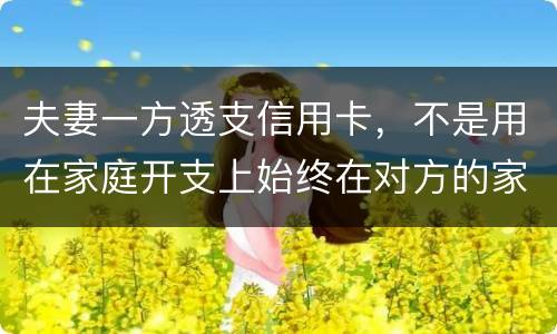 夫妻一方透支信用卡，不是用在家庭开支上始终在对方的家庭开支上我有义务给他还吗