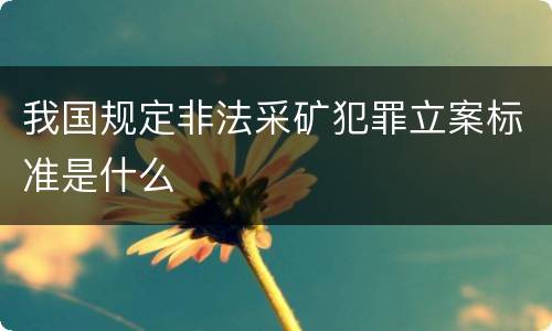 我国规定非法采矿犯罪立案标准是什么