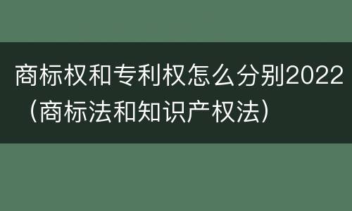 商标权和专利权怎么分别2022（商标法和知识产权法）