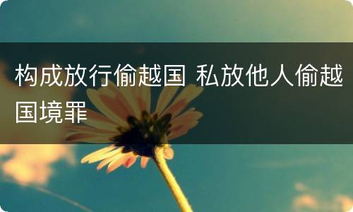 构成放行偷越国 私放他人偷越国境罪
