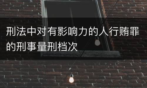 刑法中对有影响力的人行贿罪的刑事量刑档次