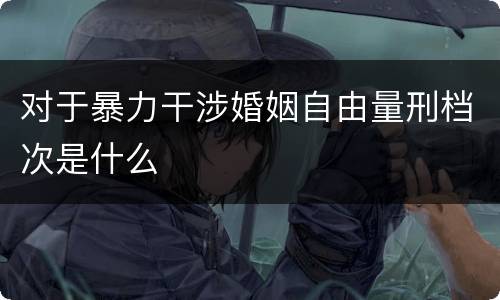 对于暴力干涉婚姻自由量刑档次是什么