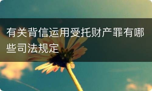 有关背信运用受托财产罪有哪些司法规定