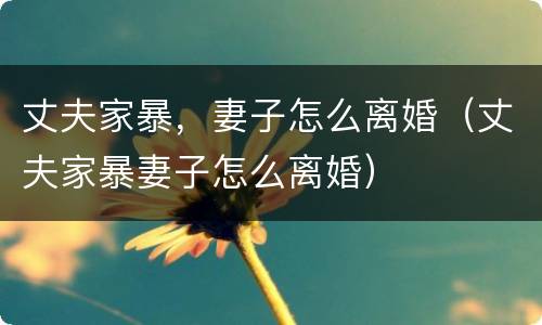 丈夫家暴，妻子怎么离婚（丈夫家暴妻子怎么离婚）