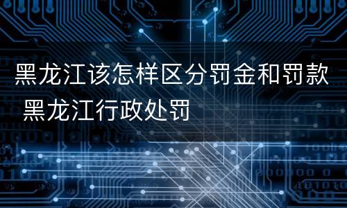 黑龙江该怎样区分罚金和罚款 黑龙江行政处罚