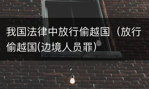 我国法律中放行偷越国（放行偷越国(边境人员罪）