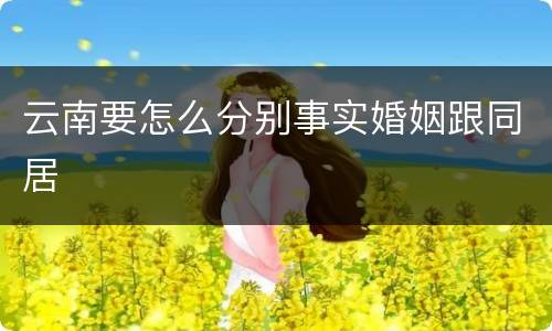 云南要怎么分别事实婚姻跟同居