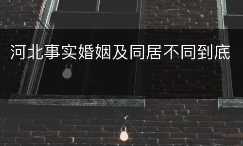 河北事实婚姻及同居不同到底