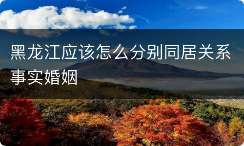 黑龙江应该怎么分别同居关系事实婚姻