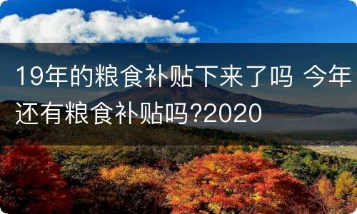 19年的粮食补贴下来了吗 今年还有粮食补贴吗?2020