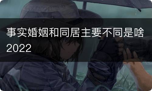 事实婚姻和同居主要不同是啥2022