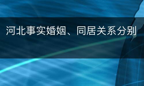 河北事实婚姻、同居关系分别