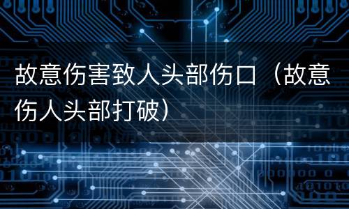故意伤害致人头部伤口（故意伤人头部打破）