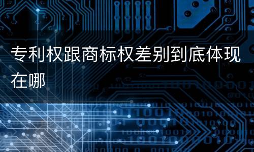 专利权跟商标权差别到底体现在哪