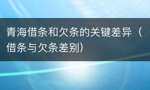 青海借条和欠条的关键差异（借条与欠条差别）