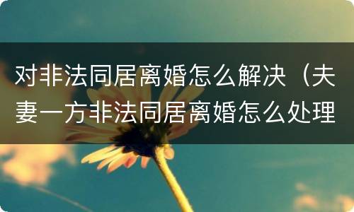 对非法同居离婚怎么解决（夫妻一方非法同居离婚怎么处理）