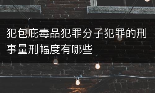 犯包庇毒品犯罪分子犯罪的刑事量刑幅度有哪些