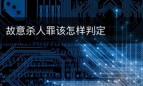 故意杀人罪该怎样判定