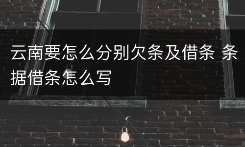 云南要怎么分别欠条及借条 条据借条怎么写