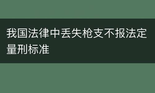 我国法律中丢失枪支不报法定量刑标准