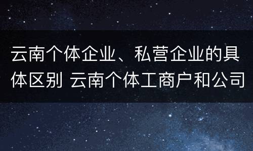 云南个体企业、私营企业的具体区别 云南个体工商户和公司