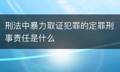 刑法中暴力取证犯罪的定罪刑事责任是什么