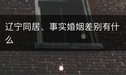 辽宁同居、事实婚姻差别有什么