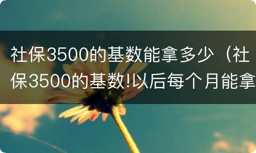 社保3500的基数能拿多少（社保3500的基数!以后每个月能拿多少钱）
