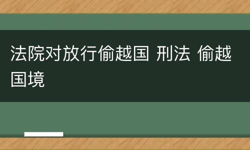 法院对放行偷越国 刑法 偷越国境