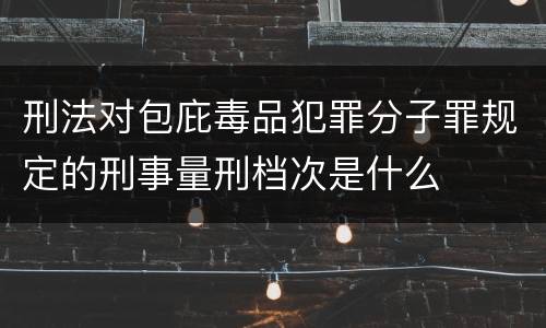 刑法对包庇毒品犯罪分子罪规定的刑事量刑档次是什么