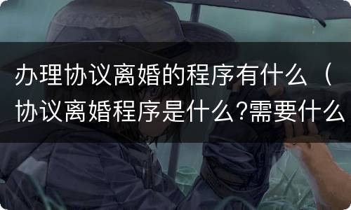 办理协议离婚的程序有什么（协议离婚程序是什么?需要什么手续）