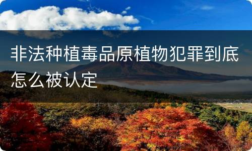 非法种植毒品原植物犯罪到底怎么被认定