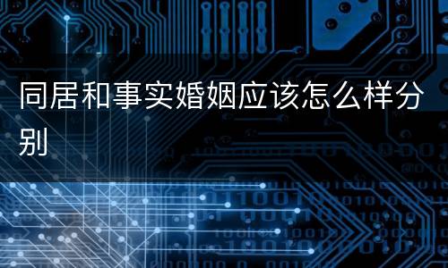 同居和事实婚姻应该怎么样分别