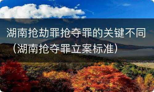 湖南抢劫罪抢夺罪的关键不同（湖南抢夺罪立案标准）