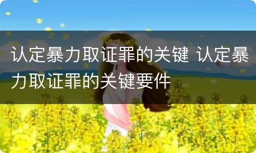 认定暴力取证罪的关键 认定暴力取证罪的关键要件